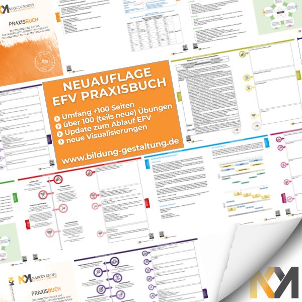 Unser Praxisbuch zum EFV